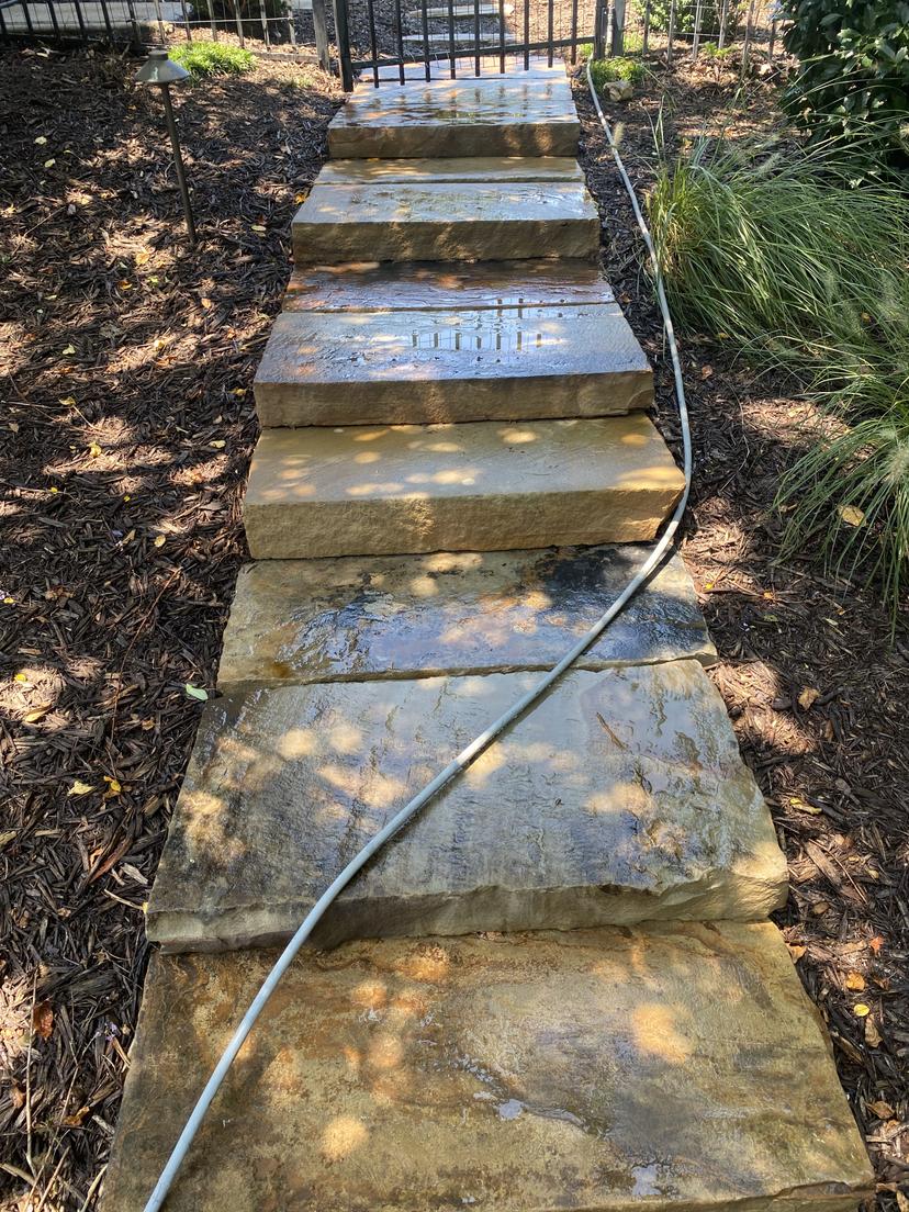 Concrete Cleaning - Before