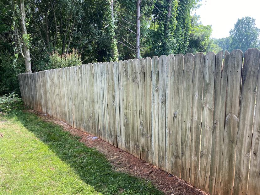 Fence Restoration - Before