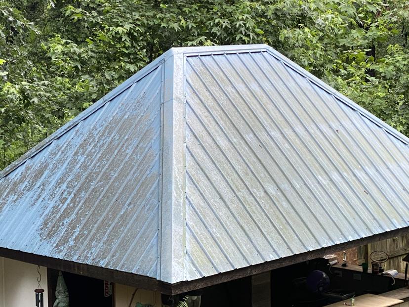 Roof Cleaning - Before