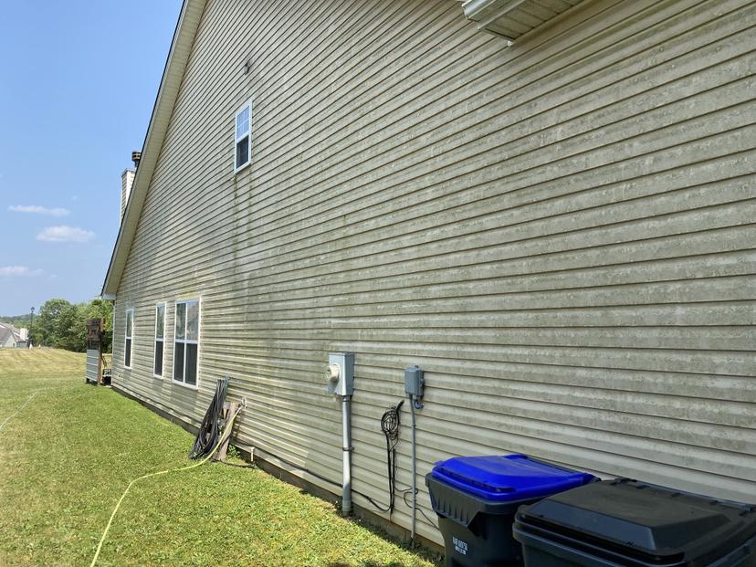 Siding Cleaning - Before